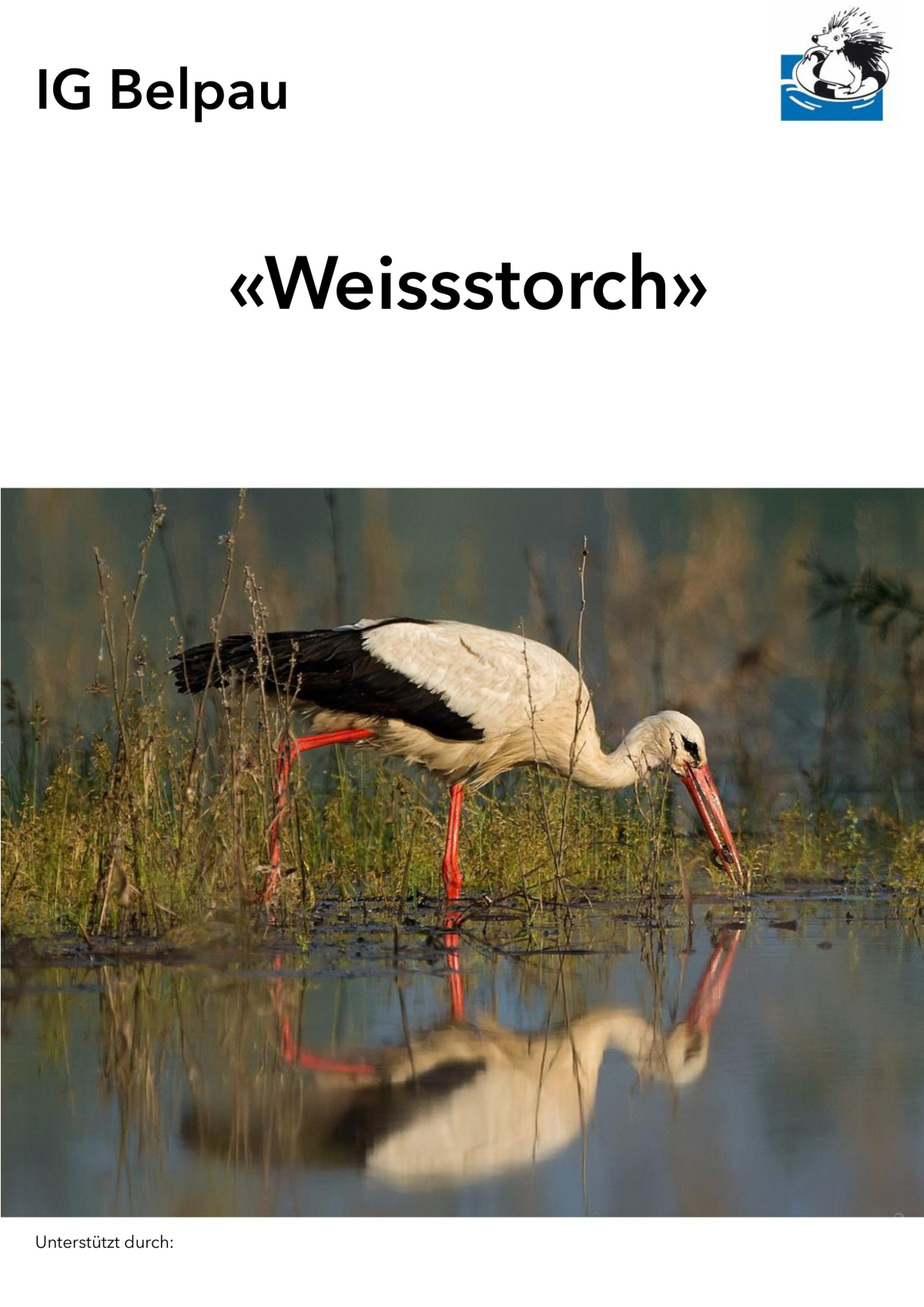 Weissstorch - Vortrag von Biologe Lorenz Heer Weissstorch - Vortrag von Biologe Lorenz Heer