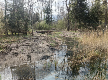 Öffentliche Auflage Komplexwaldreservat "Untere Belpau"