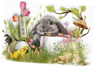 Gemeindeverwaltung, Werkhof und Kadaversammelstelle