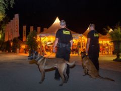 Berner Hunde Security
